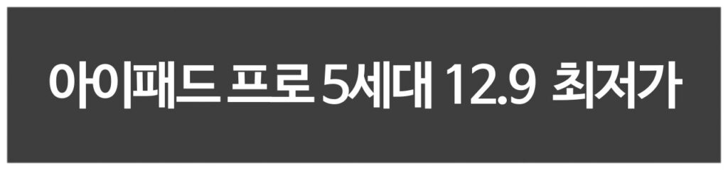 아이패드 프로 5세대 12.9 구매